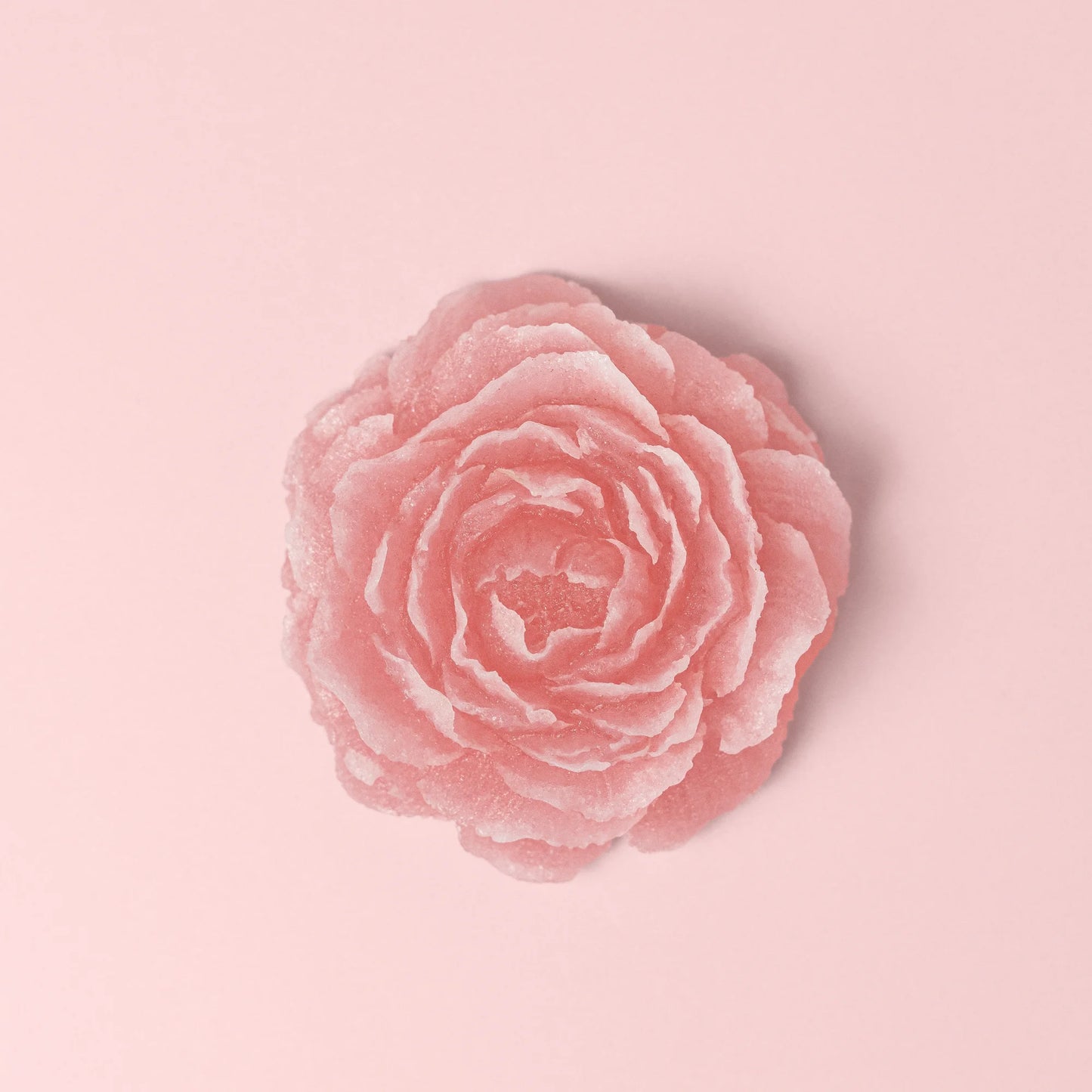 Collection Enchantée